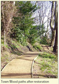 A newly completed path in Town Wood. It is quite steep, and in the distance you can see some steps where it gets even steeper.